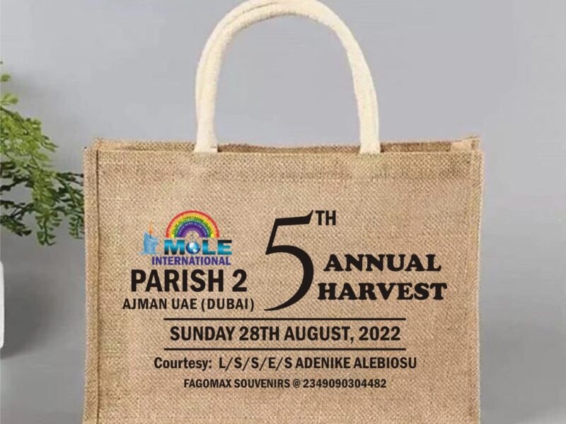 Souvenir Bags