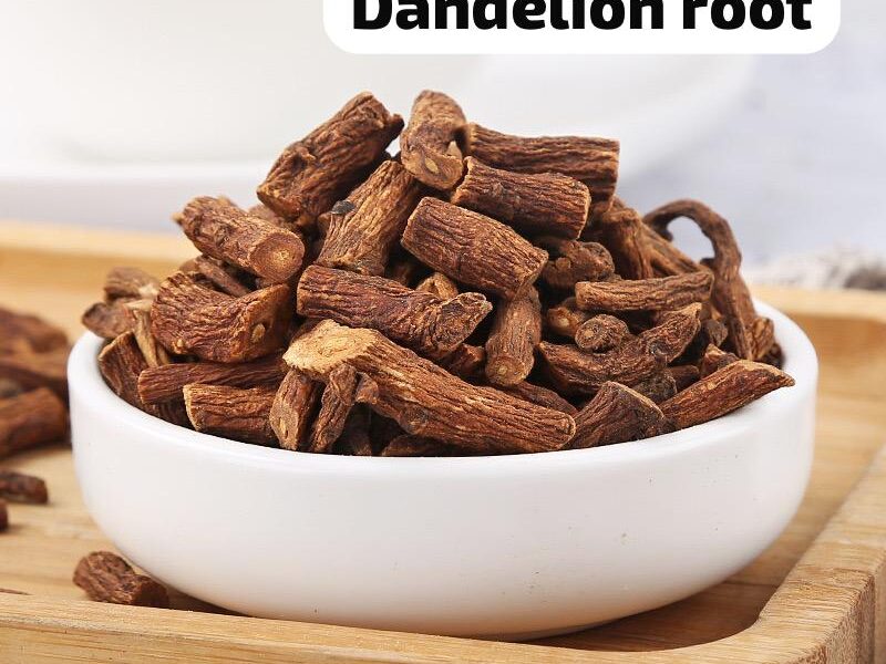Dandelion roots