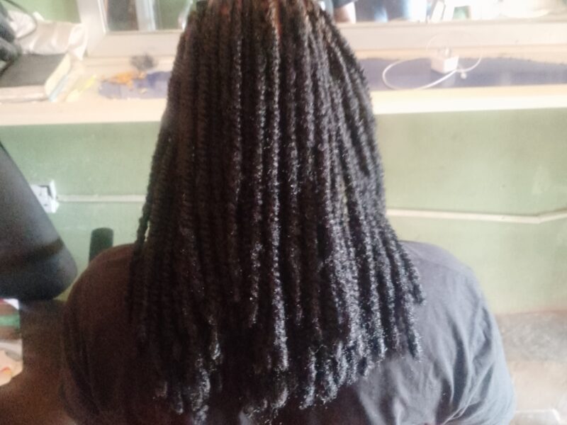 Professional Hairstylist|Braids, wigs & Natural Haircare