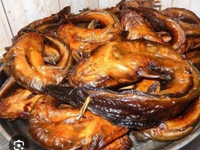 Mecca Fish and Poultry Farm