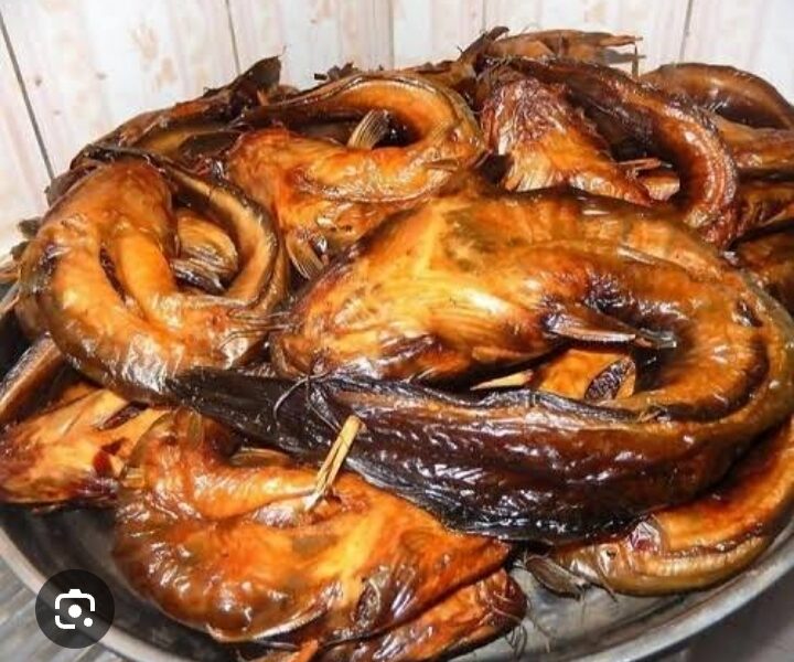 Mecca Fish and Poultry Farm
